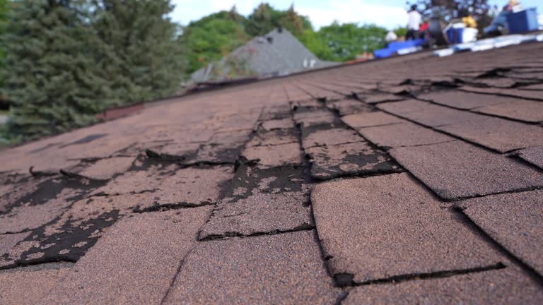 Best Gutter Installation and Repair  in Cockrell Hill, TX